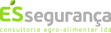 ES Segurança